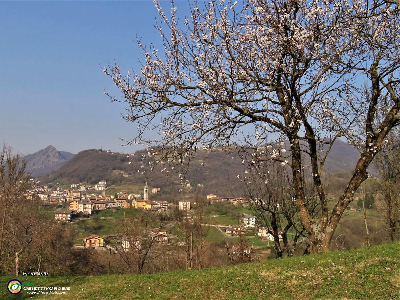 55 Da ciliegio in fiore vista su Grumello-Endenna ed oltre.JPG